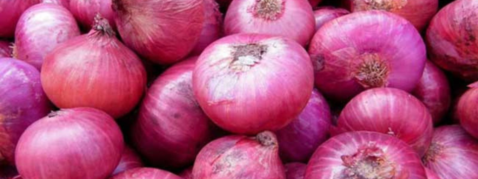 Sri Lanka to receive big onions from China